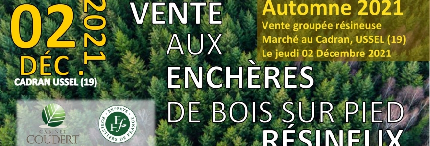 Vente groupée bois Automne Cabinet COUDERT RIBOULET