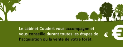 Investir en forêt