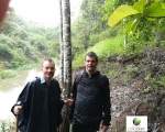Mission-Equateur-forêt-cacao-CABINET COUDERT