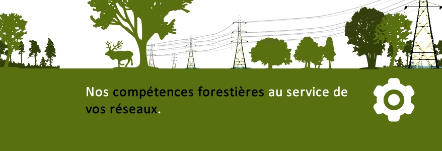 Nos compétences forestières au service de vos réseaux.