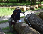 Cabinet COUDERT-Séminaire FORESTRY CLUB DE FRANCE