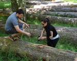 Cabinet COUDERT-Séminaire FORESTRY CLUB DE FRANCE