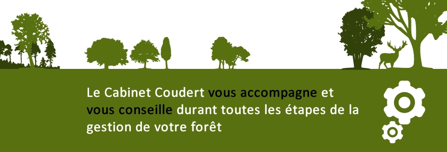 Gérer votre forêt