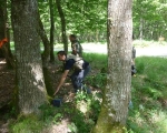 Cabinet COUDERT-Séminaire FORESTRY CLUB DE FRANCE