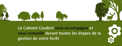 Gérer votre forêt